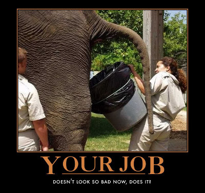 Your Job